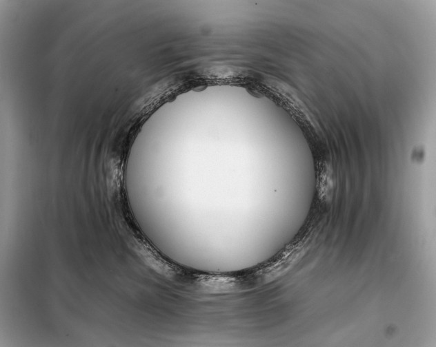 X0000099230476200805081601