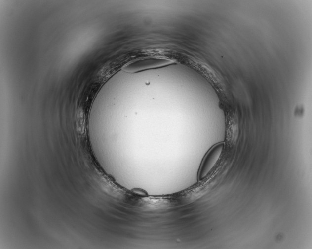 X0000099230477200805081601