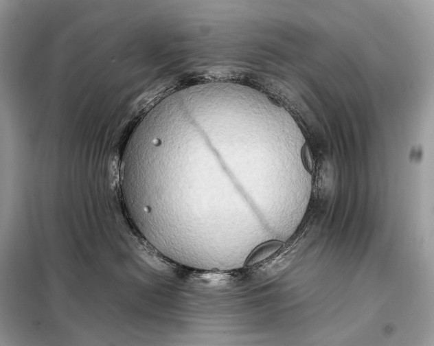 X0000099230478200805081601