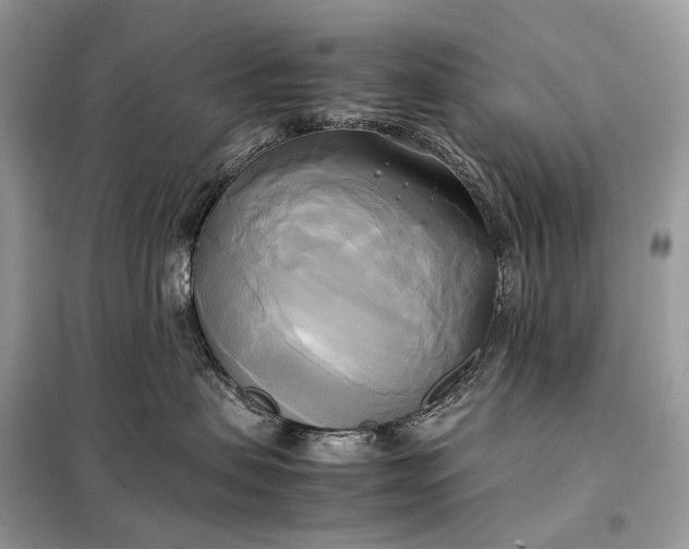 X0000099230479200805081601