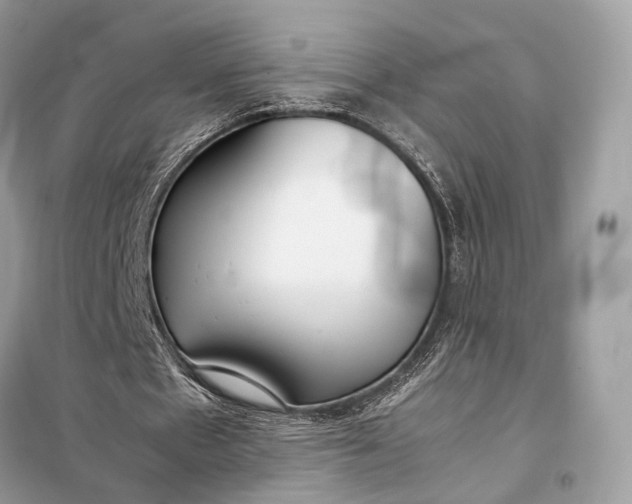 X0000099230481200805081601