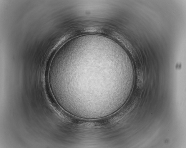 X0000099230482200805081601