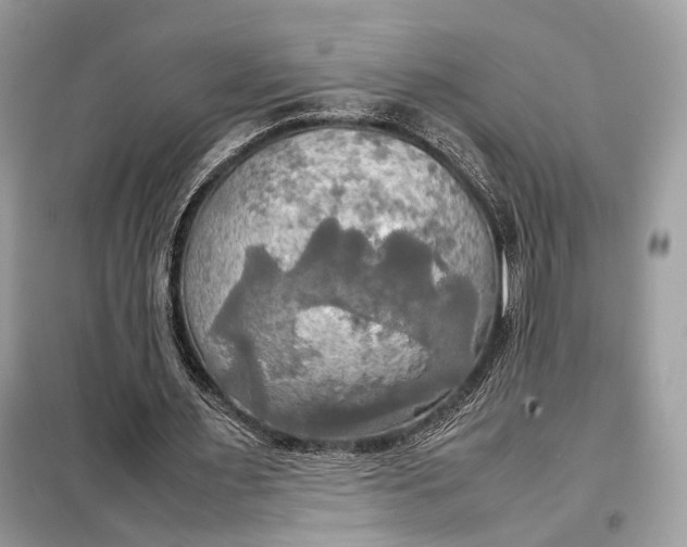 X0000099230483200805081601