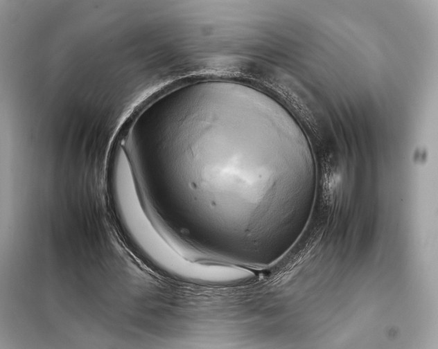 X0000099230484200805081601