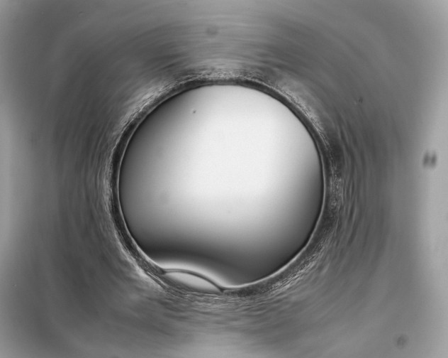 X0000099230485200805081601