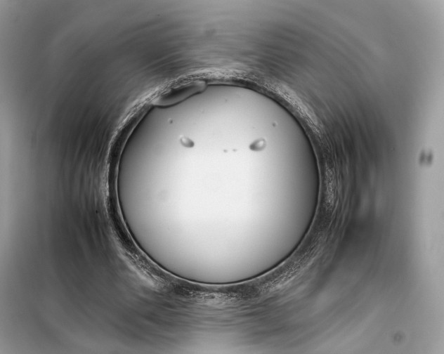 X0000099230486200805081601