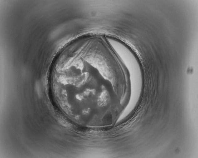 X0000099230487200805081600