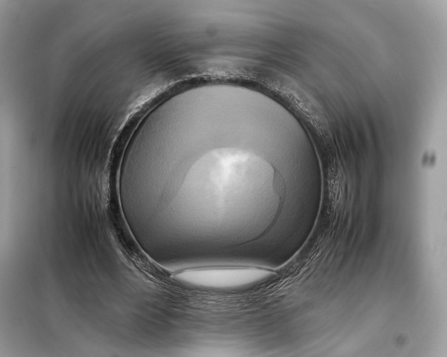 X0000099230488200805081600