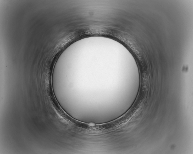 X0000099230489200805081600