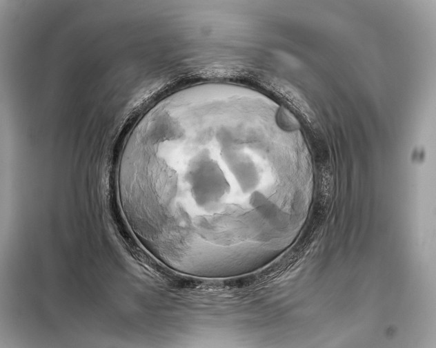 X0000099230491200805081600