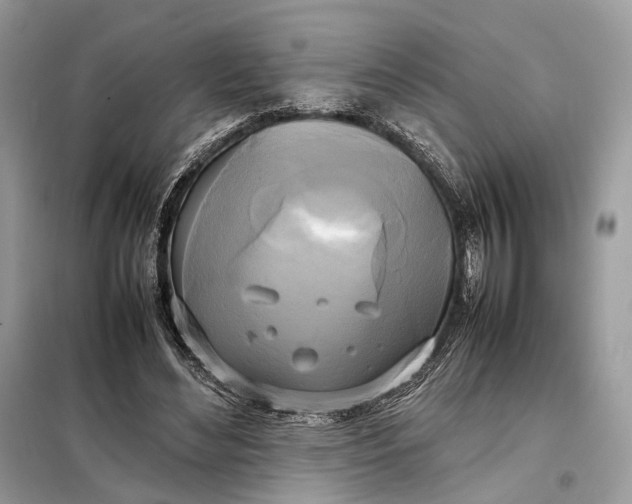 X0000099230492200805081600