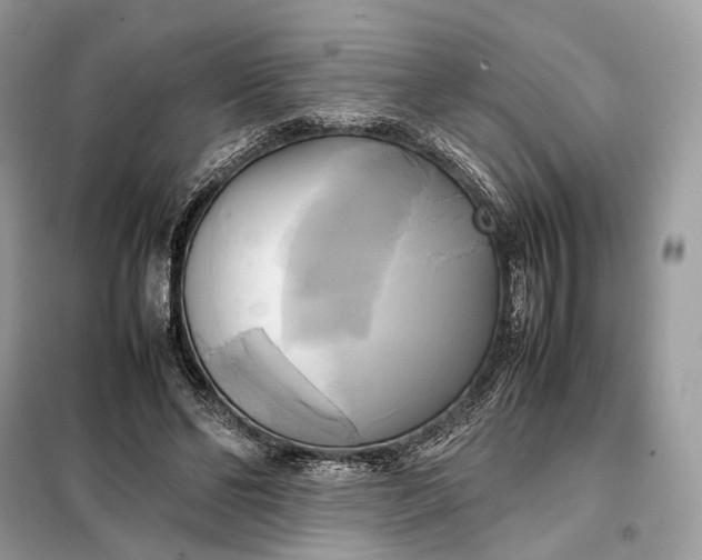 X0000099230494200805081600