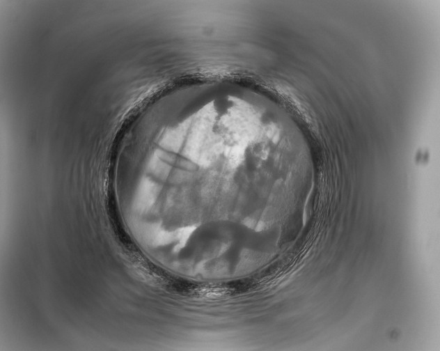 X0000099230495200805081600