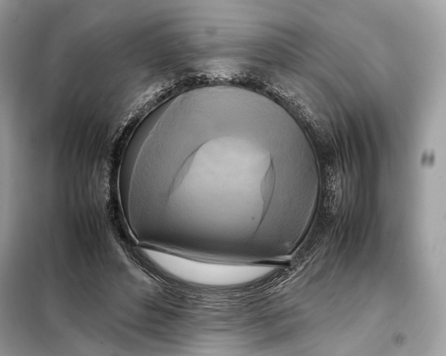 X0000099230496200805081600