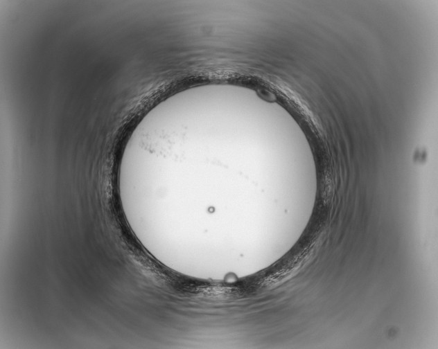 X0000099230497200805081600