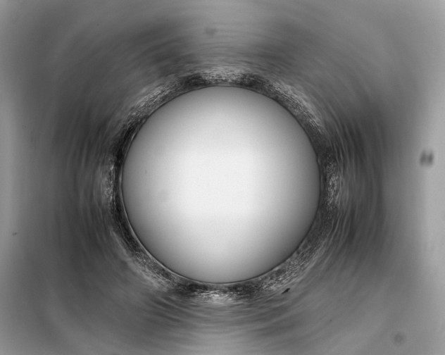 X0000099230498200805081600