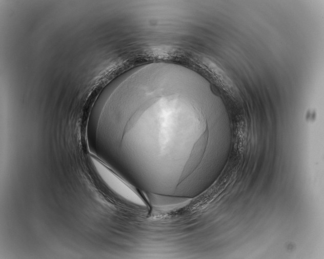 X0000099230500200805081600