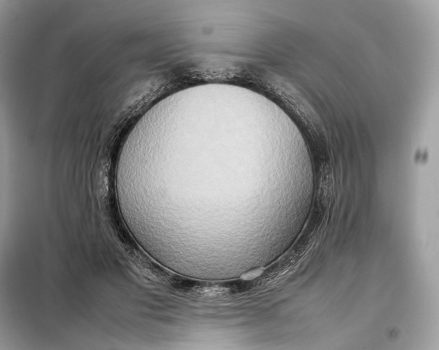 X0000099230501200805081600