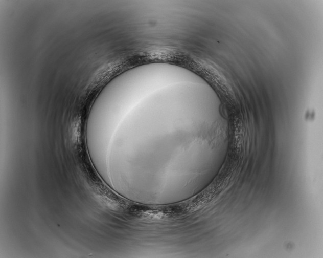 X0000099230502200805081600