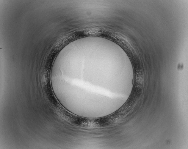 X0000099230503200805081600