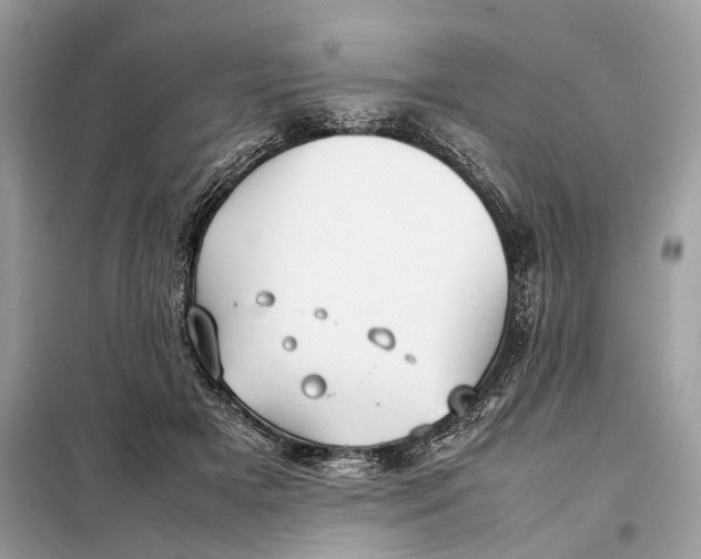 X0000099230505200805081600