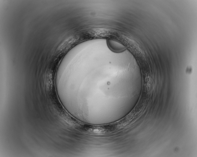 X0000099230506200805081600