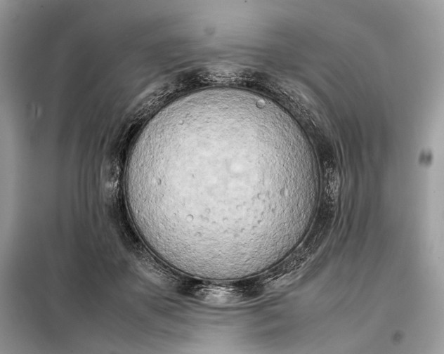 X0000099230507200805081600