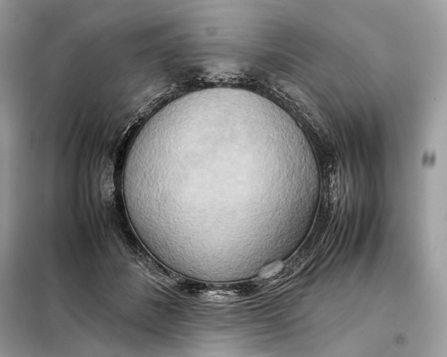 X0000099230508200805081600