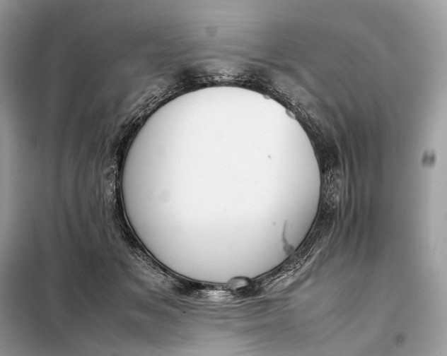 X0000099230509200805081600