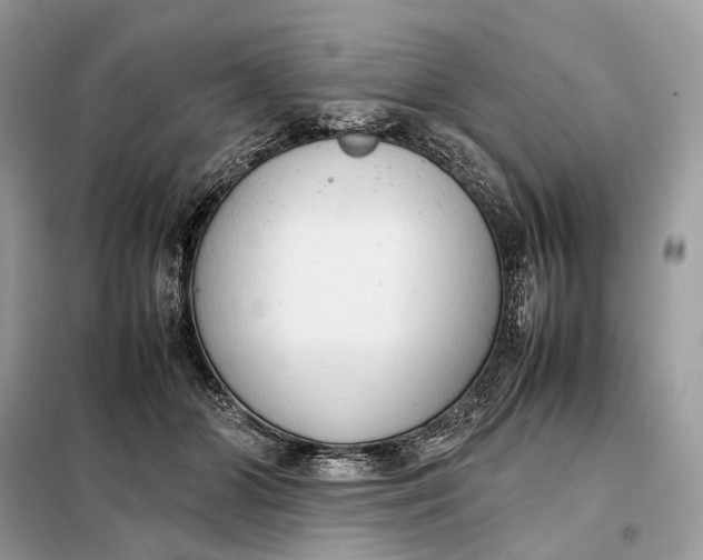 X0000099230510200805081600