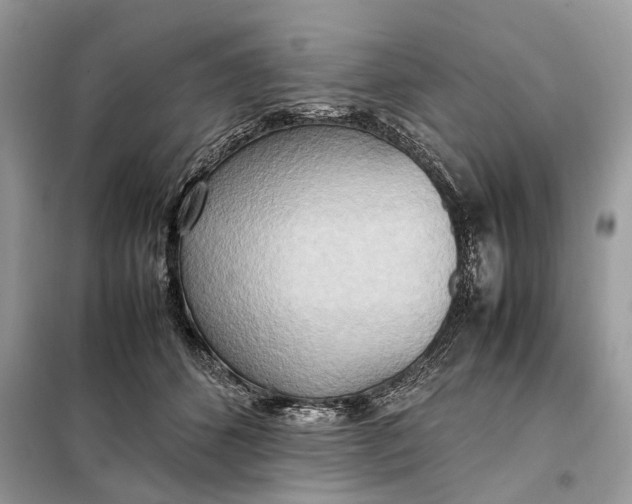 X0000099230512200805081600