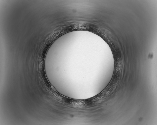 X0000099230513200805081600