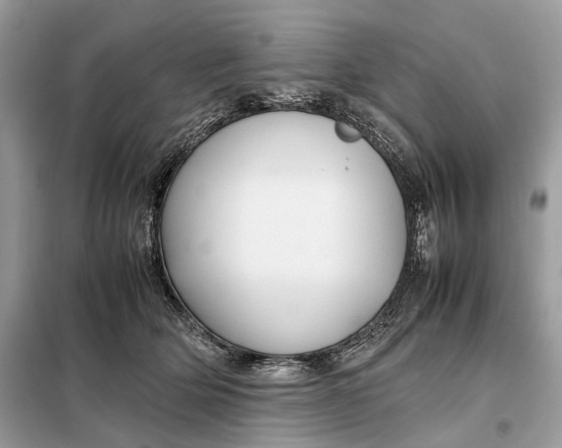 X0000099230514200805081600