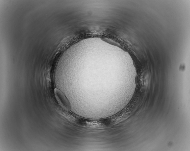 X0000099230516200805081600