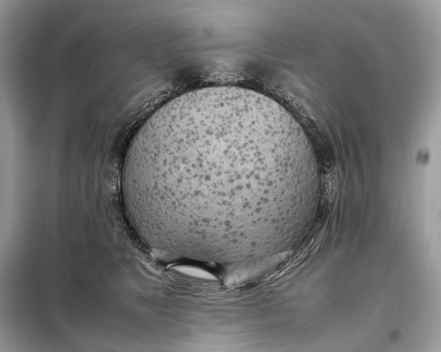 X0000099230517200805081600