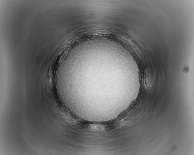 X0000099230520200805081600