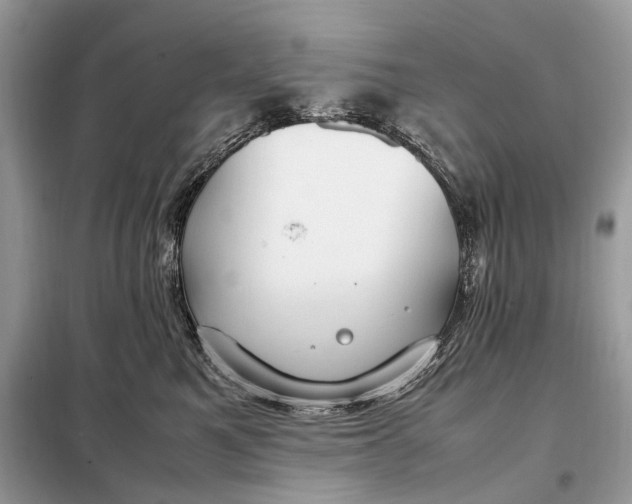 X0000099230521200805081600