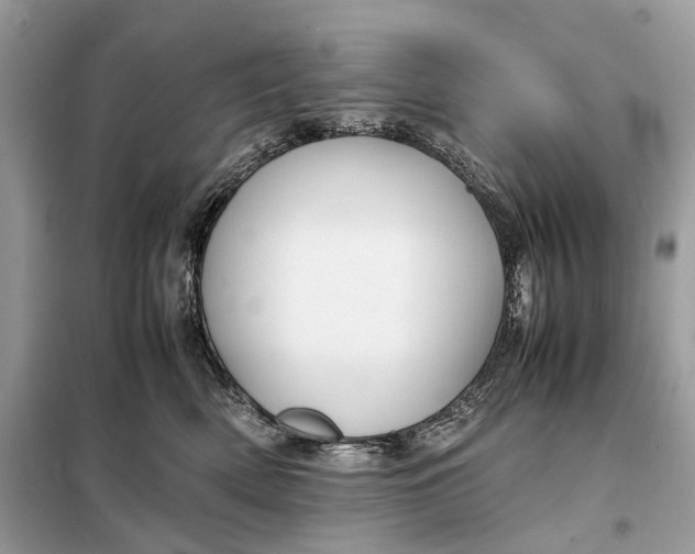 X0000099230522200805081600