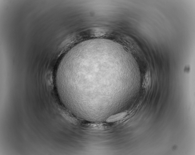 X0000099230524200805081600