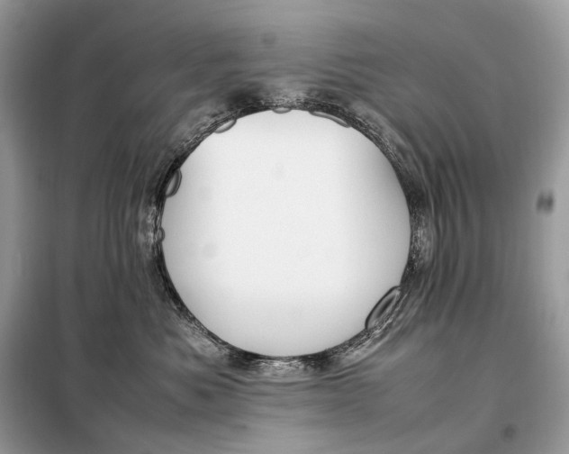 X0000099230525200805081600