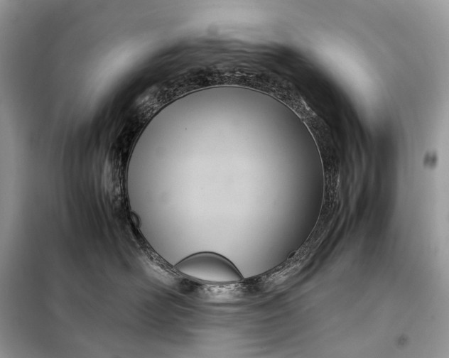 X0000099230526200805081600