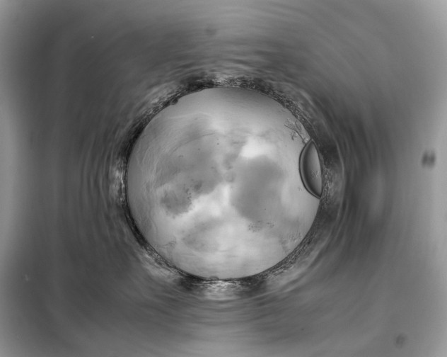 X0000099230527200805081600