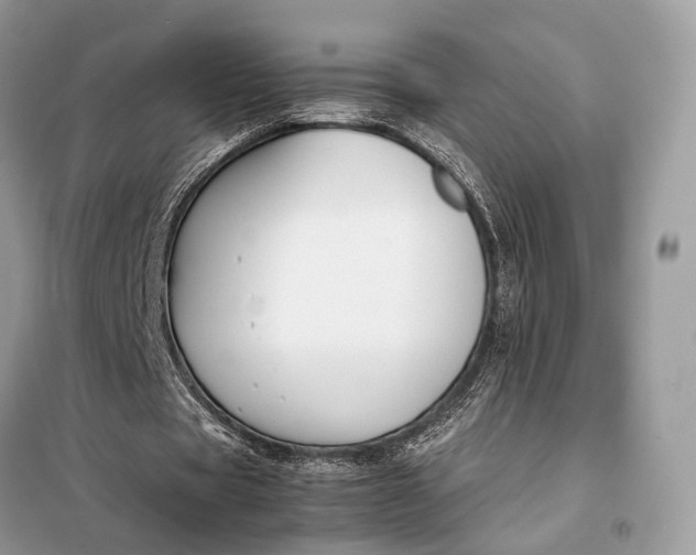 X0000099230529200805081559