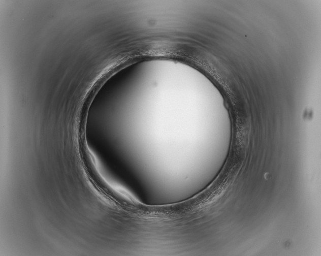 X0000099230530200805081559