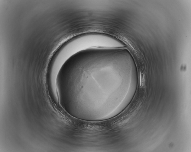 X0000099230531200805081559