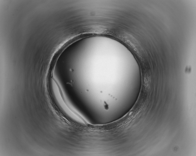 X0000099230532200805081559