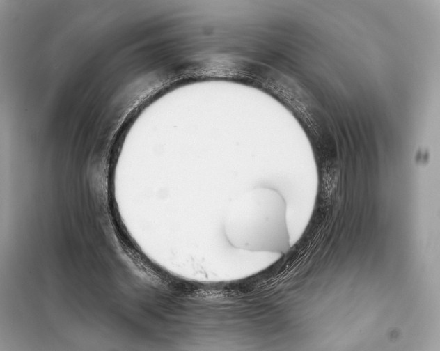 X0000099230534200805081559