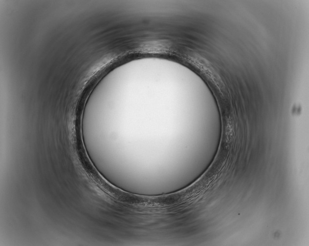 X0000099230535200805081559