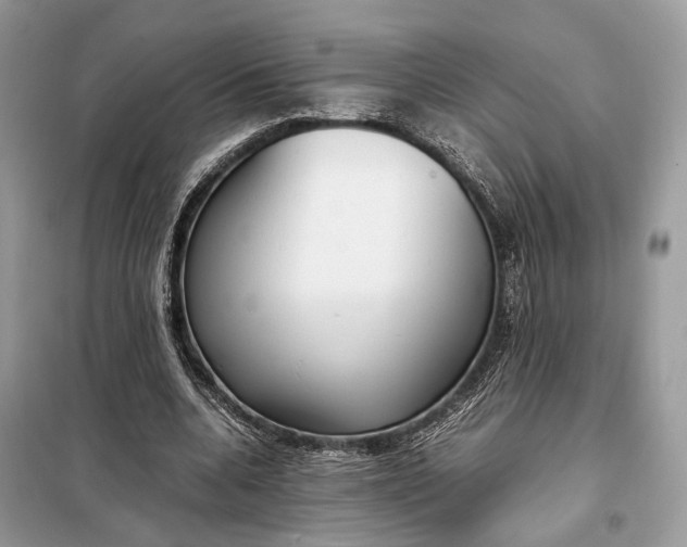 X0000099230536200805081559