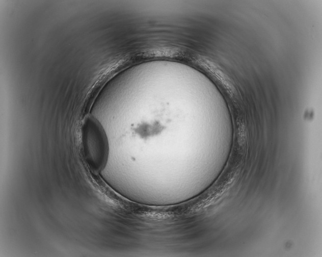 X0000099230537200805081559